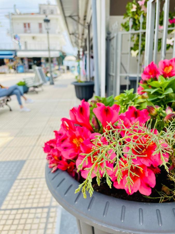 Apartmán Nisel Seaside Paralía Exteriér fotografie